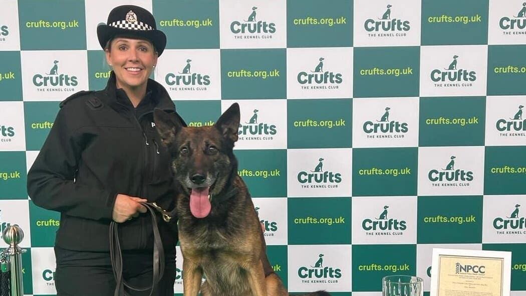 Pc Carly Fulton, and her dog Ben, continued the search for a missing woman despite the officer breaking her heel bone.