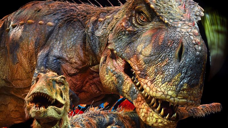 New research suggests that as T-rex rose to dominance, their young took over the ecological role of middle-sized predators.
