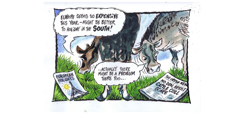 Ian Knox cartoon 9/8/19: Industry insiders warn Defra that some 45,000 dairy cows could be culled in the north in the event of a no-deal Brexit if new higher tariffs are applied to British milk&nbsp;