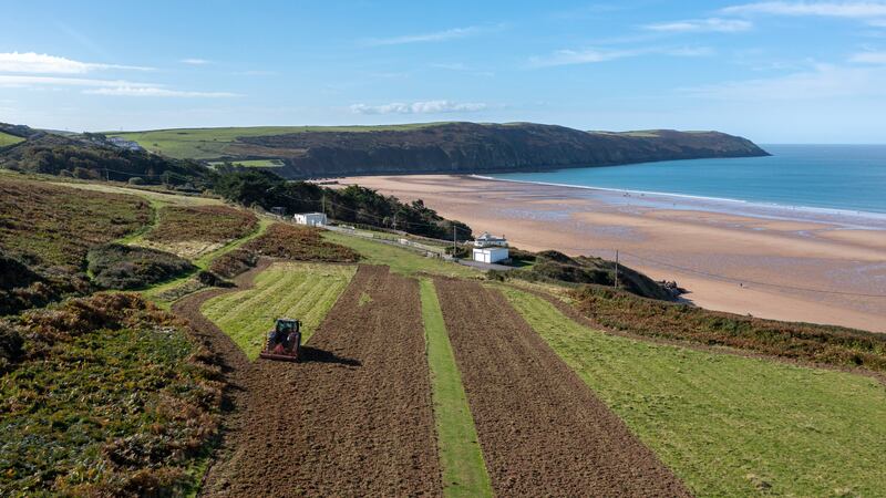 The project will see pockets of a rich savannah sown across 70 miles of the north Devon landscape by 2030.