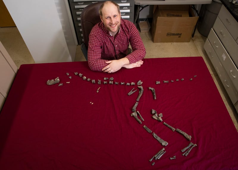 Sterling Nesbitt with the fossilised bones