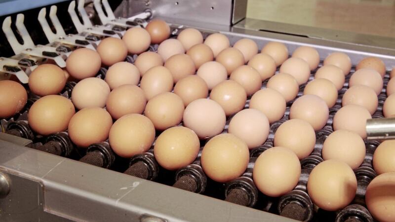 Lough Erne Investments Ltd, which trades as subsidiary Ready Egg Products, enjoyed significant growth last year, with revenue growing by 52 per cent from &pound;43.1m in 2016 to &pound;65.4m 