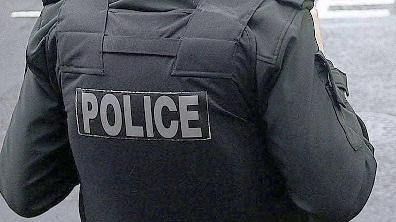 Police have arrested two men after an elderly woman disturbed a burglar at her home in Co Tyrone 