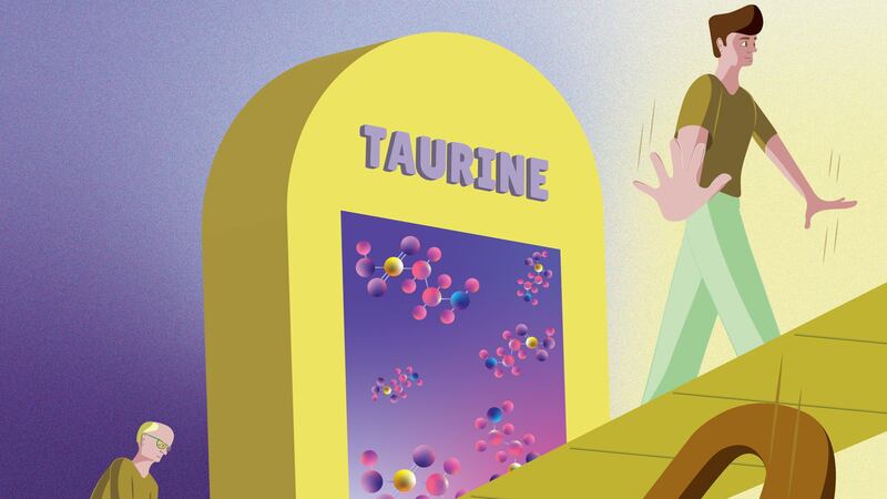 Taking taurine supplements has been shown to reverse key ageing markers in mice.