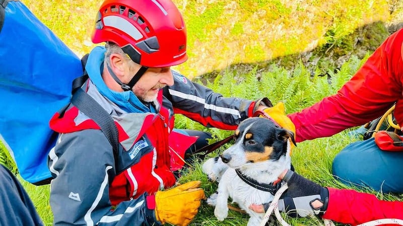 Louis the Jack Russell after his ordeal (Moffat Mountain Rescue Team/PA)