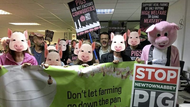 Protestors make their feelings known about the planned pig farm on the outskirts of Newtownabbey 