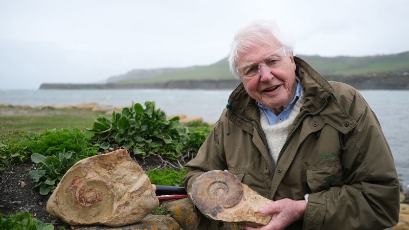 Attenborough and the Giant Sea Monster (BBC Studios)