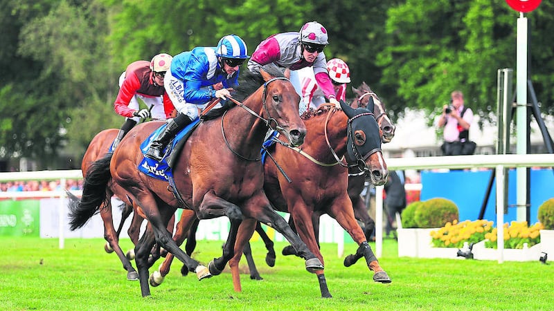 CLOSE TO RETIREMENT: Angus Gold, racing manager to owner Hamdan Al Maktoum, expects Royal Ascot and July Cup hero Muhaarar to be retired at the end of the season. The Charlie Hills-trained three-year-old (blue colors) was a brilliant winner of the inaugural Commonwealth Cup last month and added another Group One prize to his CV with a last-gasp triumph in a thriller on the July Course last weekend. &ldquo;The problem with him is he&rsquo;s very important to the breeding operation,&rdquo; said Gold. &ldquo;Sheikh Hamdan is mad about his breeding and we&rsquo;ve been looking for a horse like this for a very long time &ndash; a well-bred, good-looking horse with speed. He&rsquo;s won two Group Ones as a three-year-old and a Group-race as a two-year-old. &ldquo;If I was a betting man I would say he&rsquo;ll probably be at stud (next year), but let&rsquo;s see what happens for the rest of the year.&rdquo; The Prix Maurice de Gheest at Deauville is Muhaarar&rsquo;s most likely next objective 