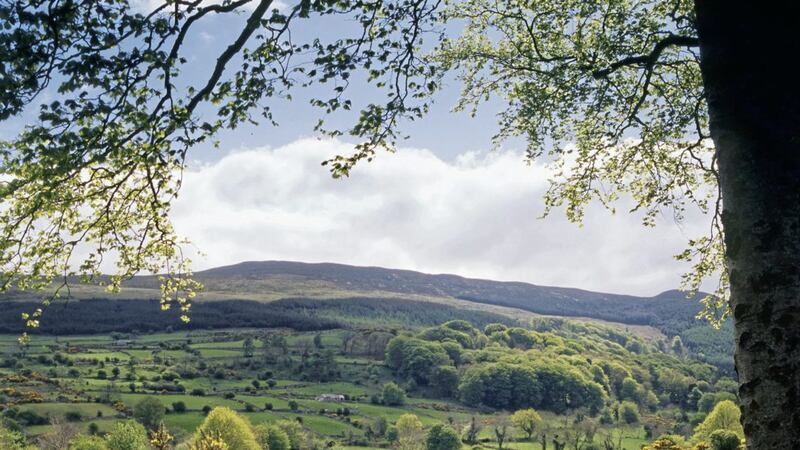 Newry, Mourne and Down District Council is moving forward with plans to establish a UNESCO Global Geopark in the three Areas of Outstanding Natural Beauty (AONB) in the district including the the Ring of Gullion 
