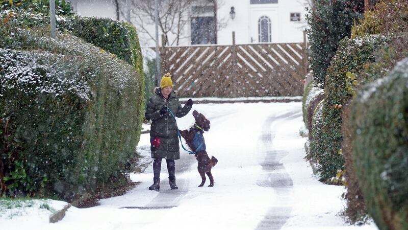 A woman with her dog in snow in Swarland, Northumberland (Owen Humphreys/PA)