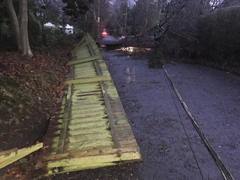 &nbsp;Large tree blocking New Forge Lane in south Belfast. Picture by Mal McCann